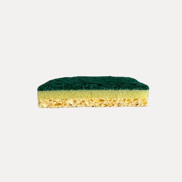 Eponge vegetale avec grattoir