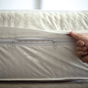 Renove matelas anti punaises de lit 2
